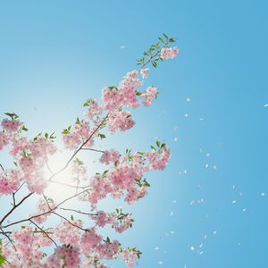 性高湖成人免费网站
