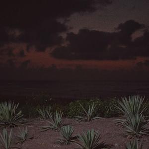 性高湖成人免费网站
